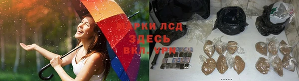 прущие крисы Нефтекумск