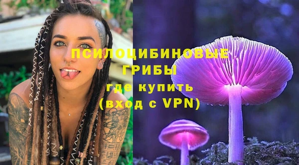 гидра Нея