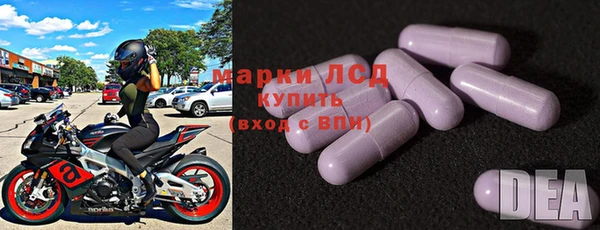 гидра Нея