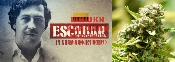 каннабис Покровск