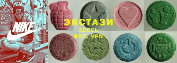 индика Новозыбков