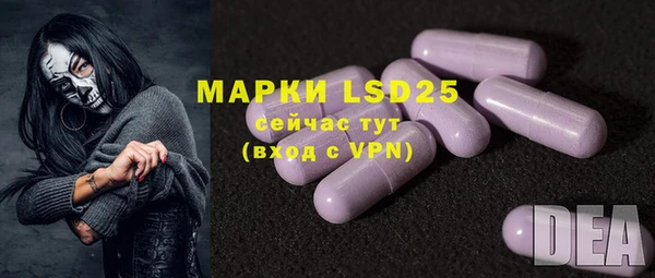 гидра Нея