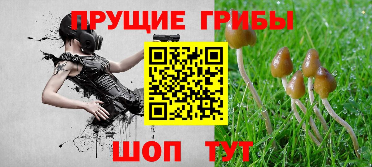 Галлюциногенные грибы мухоморы Североуральск